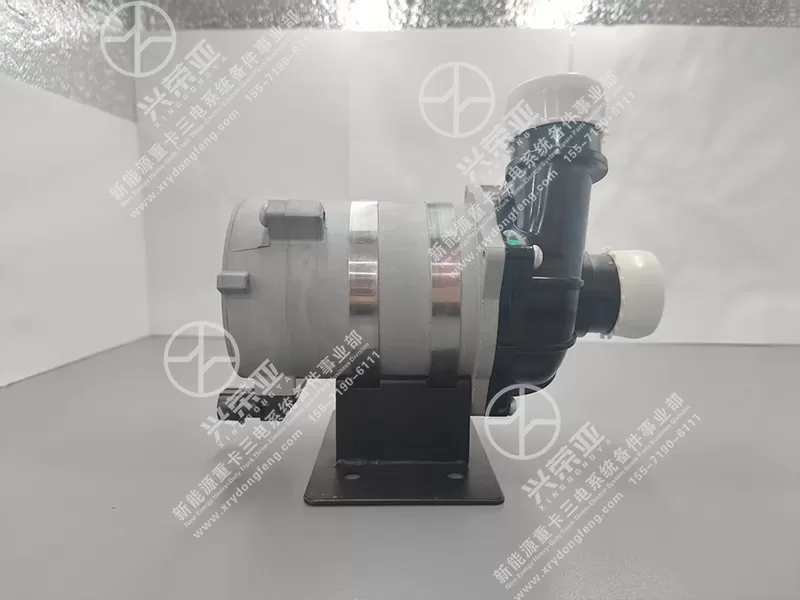 Tabletop Front Detail View Water Pump Assembly OE 1307010-TZ1A0 Dongfeng New Energy