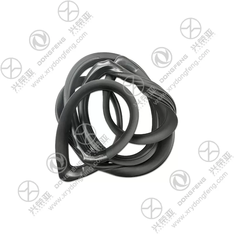 Multi-angle View Front Windshield Seal OE 5206015-G01201A Dongfeng DFAC