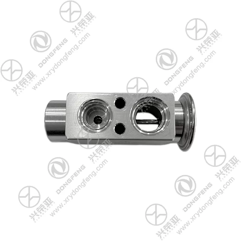 Port Structure View AC Expansion Valve OE 8106ST-010 Dongfeng Kinland
