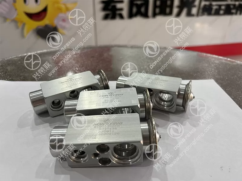 Tabletop Multi-Unit View AC Expansion Valve OE 8106ST-010 Dongfeng Kinland