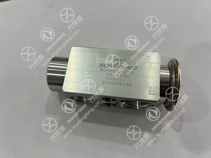 Tabletop Detail View AC Expansion Valve OE 8106ST-010 Dongfeng Kinland