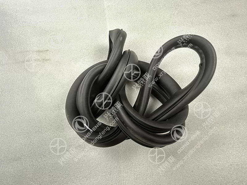 Multi-angle View Rear Window Glass Seal OE 5603915-G07201E Dongfeng DFAC