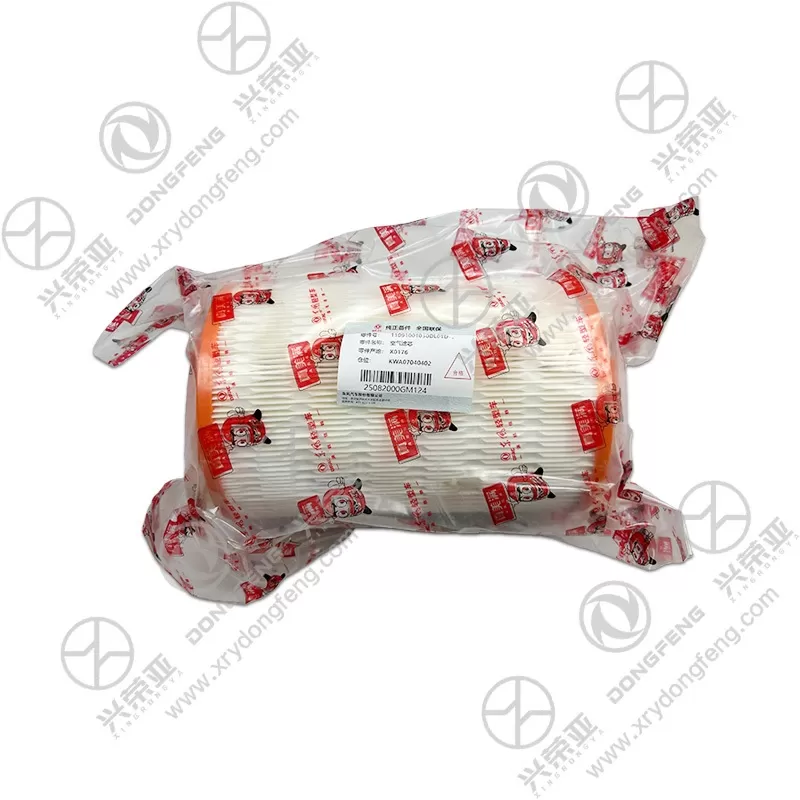 Packaging Display View Air Filter Element OE 11091001030DL01D Dongfeng DFAC