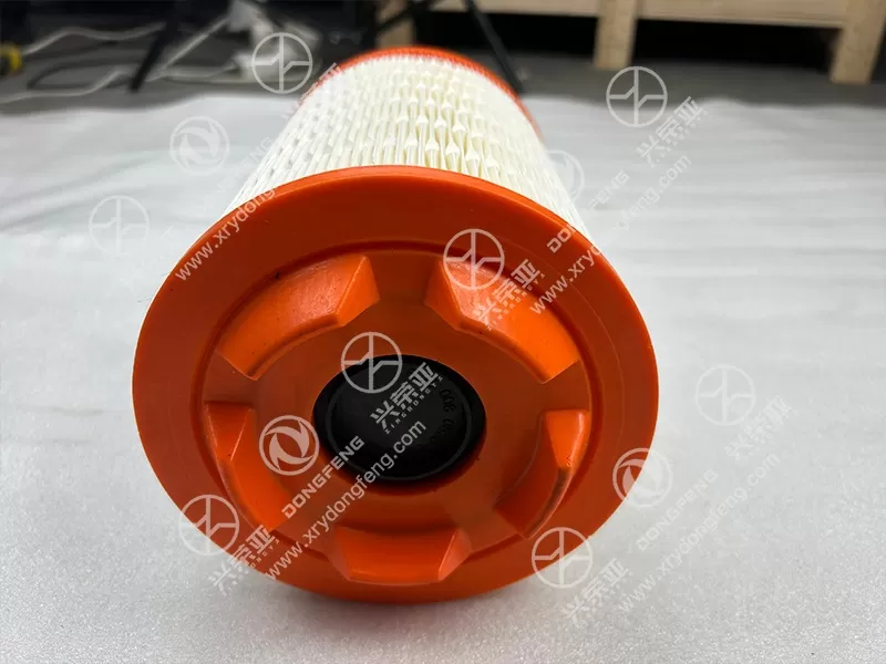 Multi-Angle View Air Filter Element OE 11091001030DL01D Dongfeng DFAC