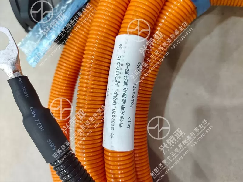 Label View Conductive Charging Socket Cable Assembly-B OE 2107020-TE8L0 Dongfeng New Energy