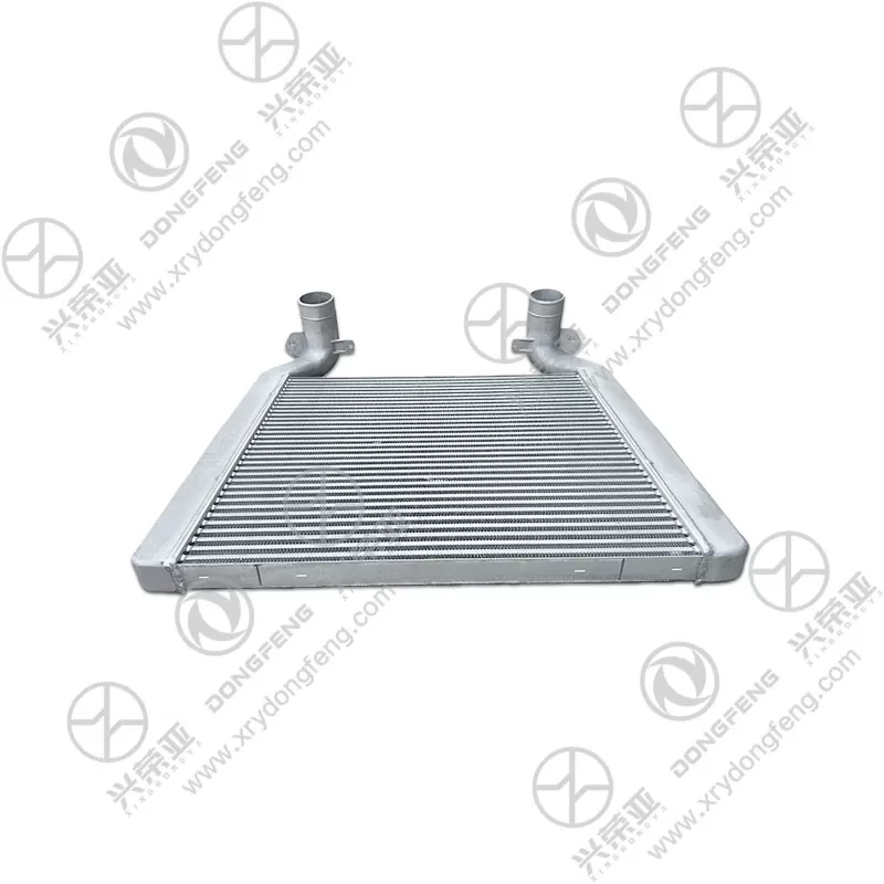 Side Structure View Intercooler Assembly OE 1119010-H0100 Dongfeng GX&KX