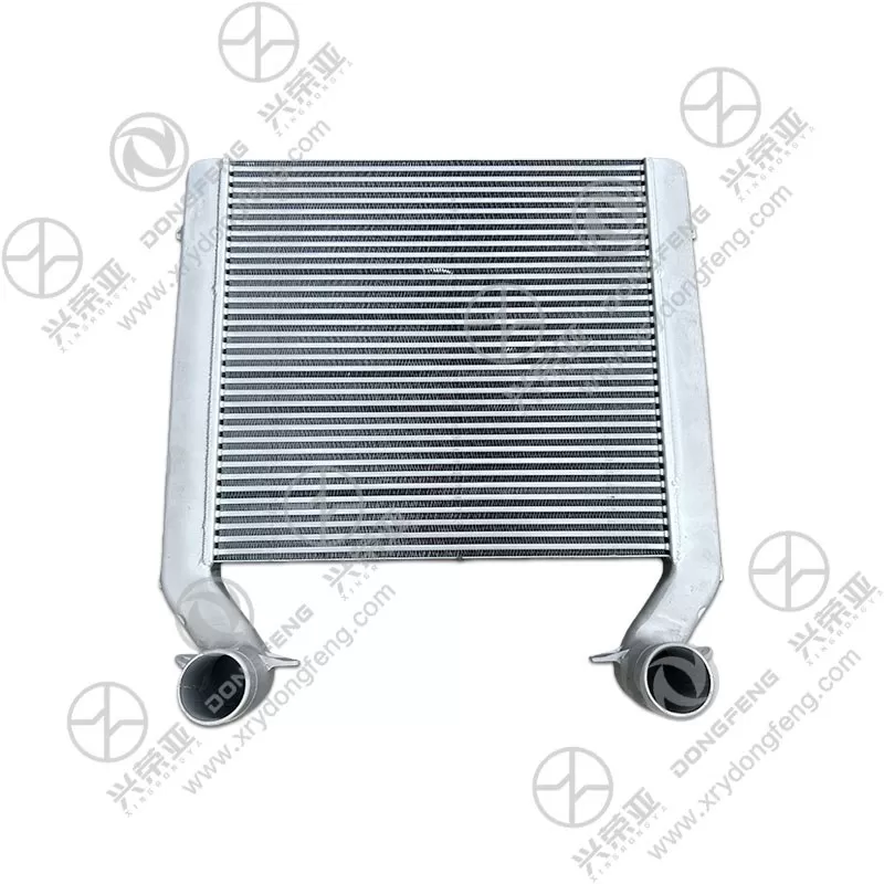 Port View Intercooler Assembly OE 1119010-H0100 Dongfeng GX&KX