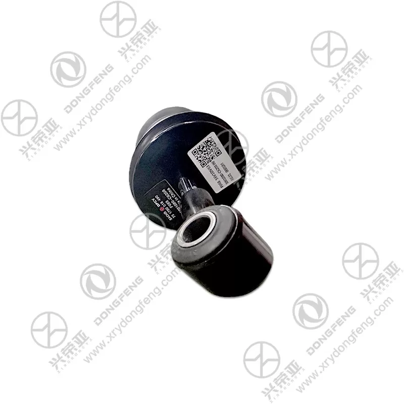 Multi-Angle View Front Cab Air Suspension Shock Absorber Assembly OE 5001080-C6208 Dongfeng Kinland
