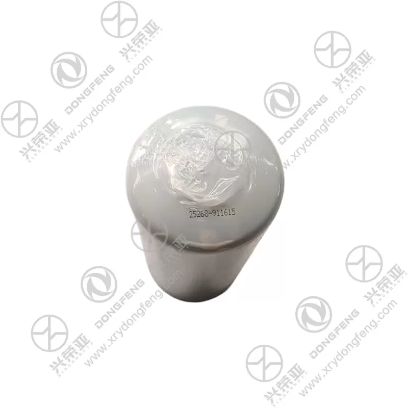 Top View Sealing Ring Fuel Filter OE ZPC4389070