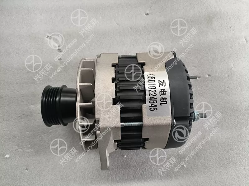 Label Detail Starter Motor Assembly OE D5010222089 for Dongfeng Renault Engine