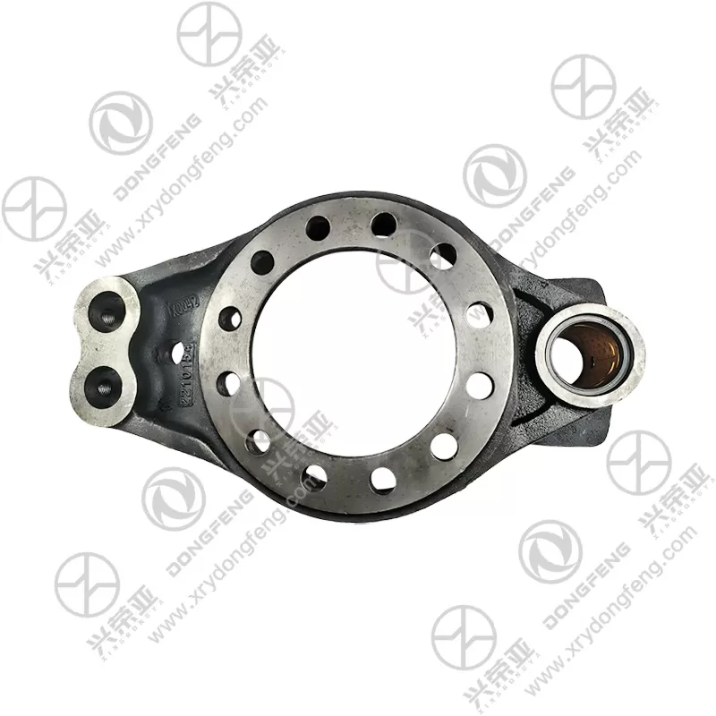 Rear View Rear Brake Backing Plate Assembly OE 3502ZHS01-025 for Dana Axle