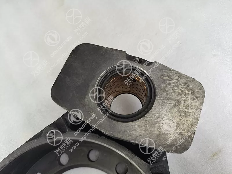 Integrated Bronze Pivot Bushing Detail Brake Backing Plate OE 3502ZHS01-025 for Dana Axle