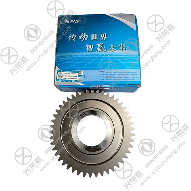 Packaging View Auxiliary Box Reduction Gear OE 12JSD200T-1707106 for FAST Transmission