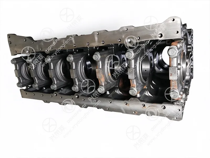 Inside structure view of Cylinder Block Assembly OE1002010-E9301 LoongGine Engine 
